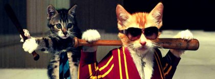 Cool Funny Cat Facebook Covers
